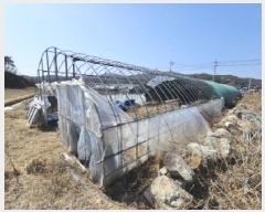  2025Ÿ��100278  ����