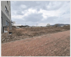  2025Ÿ��100287  �������