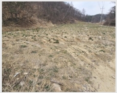  2025Ÿ��100296  �����