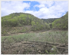  2025Ÿ��100299 ��� �ȵ��� ��ȸ� �ۻ縮 ��68      ����(�Ӿ�)���