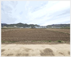  2025Ÿ��100299 ��� �ȵ��� ��ȸ� �ۻ縮 ��68      ����(�Ӿ�)���