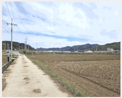  2025Ÿ��100299 ��� �ȵ��� ��ȸ� �ۻ縮 ��68      ����(�Ӿ�)���