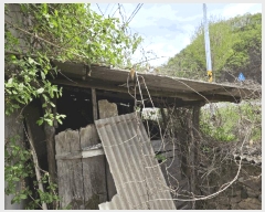  2025Ÿ��100299 ��� �ȵ��� ��ȸ� �ۻ縮 ��68      ����(�Ӿ�)���