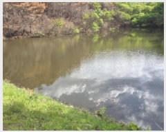  2025Ÿ��100302  �Ӿ߰��