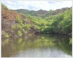  2025Ÿ��100302  �Ӿ߰��