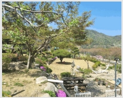  2025Ÿ��100312 ��� ���ֽ� ǳ���� ���ݸ� 144      ����(����)���