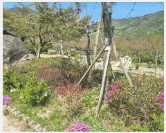  2025Ÿ��100312 ��� ���ֽ� ǳ���� ���ݸ� 144      ����(����)���