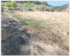  2025Ÿ��100312 ��� ���ֽ� ǳ���� ���ݸ� 144      ����(����)���