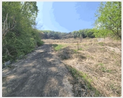  2025Ÿ��100312 ��� ���ֽ� ǳ���� ���ݸ� 144      ����(����)���