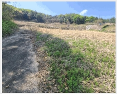  2025Ÿ��100312 ��� ���ֽ� ǳ���� ���ݸ� 144      ����(����)���