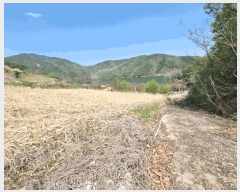  2025Ÿ��100312 ��� ���ֽ� ǳ���� ���ݸ� 144      ����(����)���