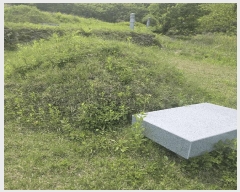  2025Ÿ��100324 ��� ��ȭ�� ��ȣ�� ǳȣ�� 665      ����(��1)���