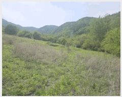  2025Ÿ��100324 ��� ��ȭ�� ��ȣ�� ǳȣ�� 665      ����(��1)���