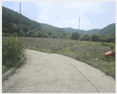  2025Ÿ��100324 ��� ��ȭ�� ��ȣ�� ǳȣ�� 665      ����(��1)���