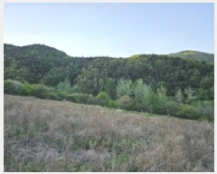  2025Ÿ��100324 ��� ��ȭ�� ��ȣ�� ǳȣ�� 665      ����(��1)���