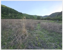  2025Ÿ��100324 ��� ��ȭ�� ��ȣ�� ǳȣ�� 665      ����(��1)���