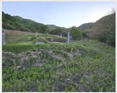  2025Ÿ��100324 ��� ��ȭ�� ��ȣ�� ǳȣ�� 665      ����(��1)���