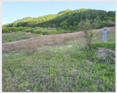  2025Ÿ��100324 ��� ��ȭ�� ��ȣ�� ǳȣ�� 665      ����(��1)���