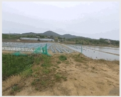  2025Ÿ��100330  ����