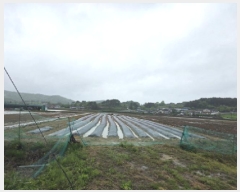  2025Ÿ��100330  ����