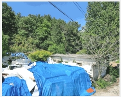  2025Ÿ��100333  �����