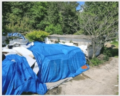  2025Ÿ��100333  �����