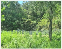  2025Ÿ��100333  �����