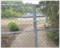  2025Ÿ��100333  �����