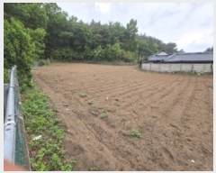  2025Ÿ��100333  �����