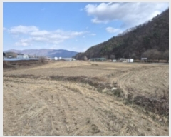  2025Ÿ��19 ��� ���ֽ� ��õ�� �ۼ��� 461      ����(��)���