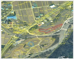  2025Ÿ��19 ��� ���ֽ� ��õ�� �ۼ��� 461      ����(��)���