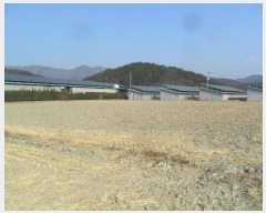  2025Ÿ57  ֽ  ϱ 267      ()