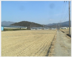  2025Ÿ57  ֽ  ϱ 267      ()