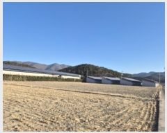  2025Ÿ57  ֽ  ϱ 267      ()