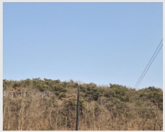  2025Ÿ95  ֽ  28-14       (Ӿ)