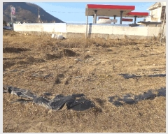  2025Ÿ217  ֽ õ õ 1108-5      ()