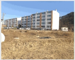  2025Ÿ217  ֽ õ õ 1108-5      ()