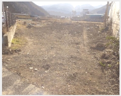  2025Ÿ217  ֽ õ õ 1108-5      ()