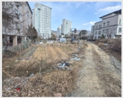  2025Ÿ��293  �����