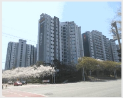  2025Ÿ326  ֽ Ȳ 1163  102 7701ȣ    Ʈ