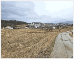  2025Ÿ336  ֽ 嵿 1004       (1)