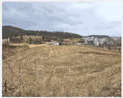  2025Ÿ336  ֽ 嵿 1004       (1)