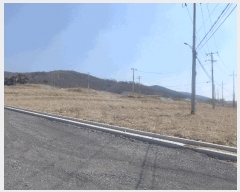  2025Ÿ338  ֽ õ 881-1       ()