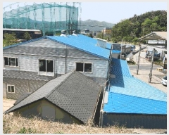  2025Ÿ��358  â�����