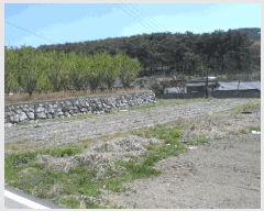  2025Ÿ��362  �����