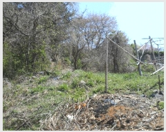  2025Ÿ��362  ����