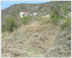  2025Ÿ��362  ����