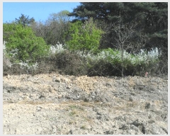  2025Ÿ��362  ����