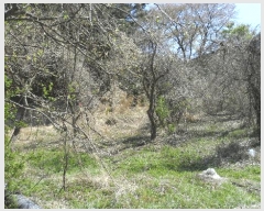  2025Ÿ��362  ����