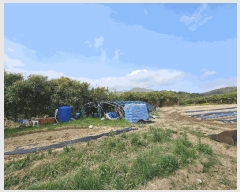  2025Ÿ��370 ��� ���ֽ� �ܵ��� ��� 765-2      ����(��1)���